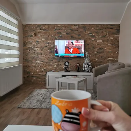 Pogled アパート Arilje